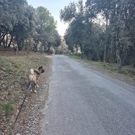 La Dindoulette A Partir De 3 Jours Et Sans Piscine Pour 6 Personnes Personnes Σπίτι διακοπών *