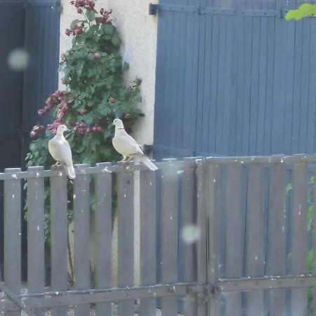 Holiday home La Dindoulette A Partir De 3 Jours Et Sans Piscine Pour 6 Personnes Personnes